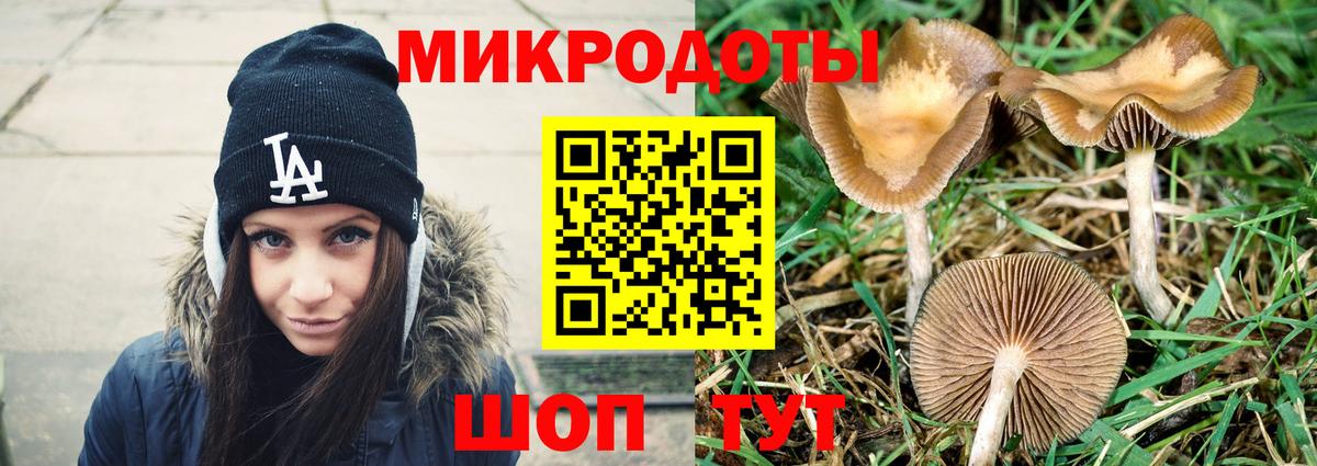 Псилоцибиновые грибы Psilocybe  Вход с VPN  Минеральные Воды 
