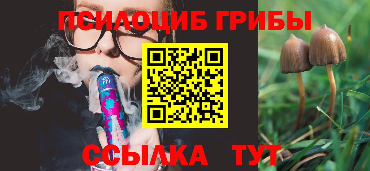 Галлюциногенные грибы GOLDEN TEACHER Минеральные Воды